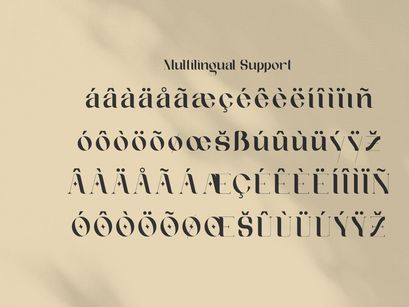 Afteris Moghu Modern/Vintage Font