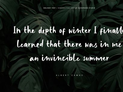 Holiday Trip - Handwritten Font
