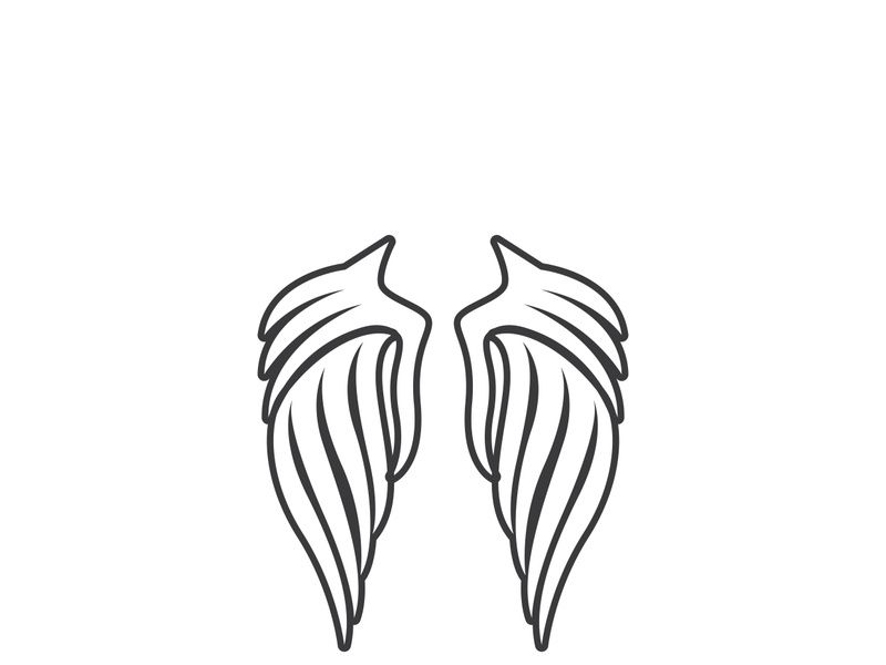 wing Logo Template vector illustration design