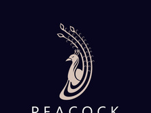 Peacock logo line art elegant concept icon design template flat vector illustration