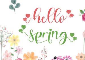 Best Spring