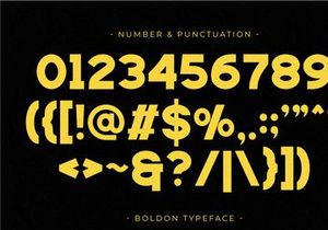Boldon - Modern Sans Serif Font
