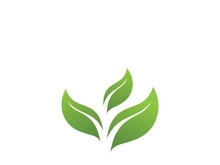 Logos of green Tree leaf ecology nature element vector