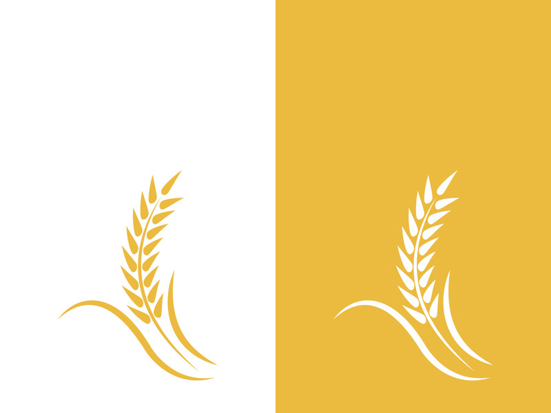 Wheat logo vector icon illustration design