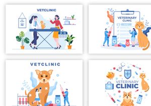 20 Veterinary Clinic for Pets Illustration