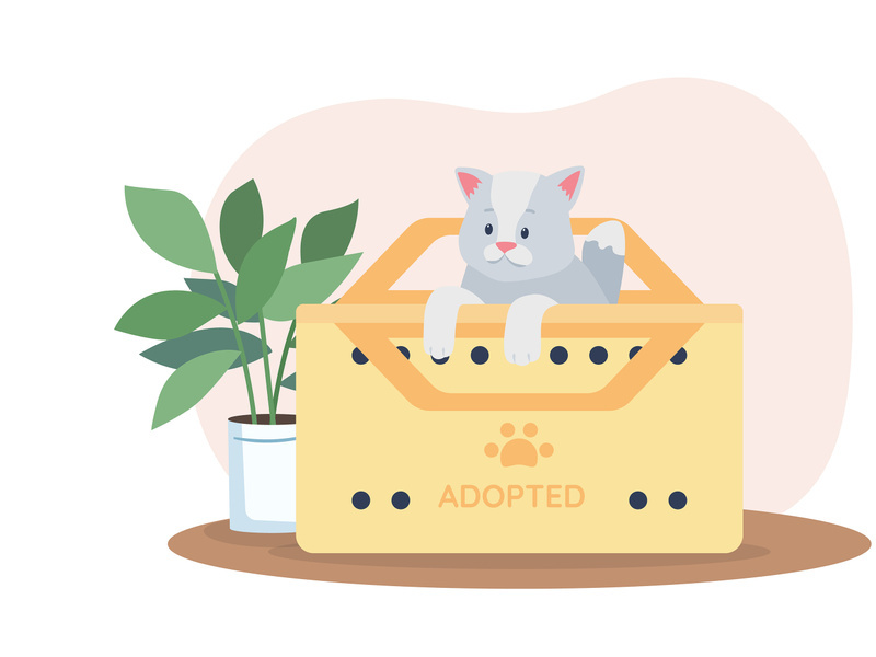 Adopting grey cat 2D vector web banner, poster