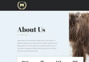 Minimize v1.0 - Html template