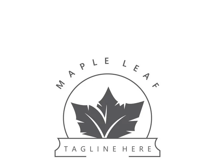 Maple leaf logo design vintage style graphic illustration