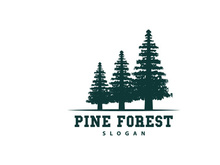 Forest Logo, Vector Forest Wood With Pine Trees Design