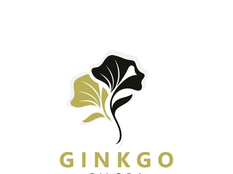 Ginkgo biloba leaf logo. can be used for herbal health products modern style logo design template