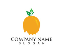 Orange logo design Vector icon illustration design