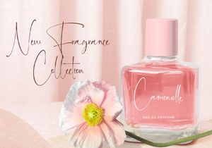 Martin Zidan - Signature Script Font