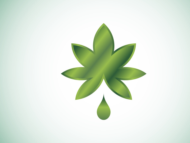 Marijuana leaf. Medical cannabis. Hemp oil. cannabis or marijuana leaf logo