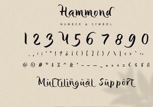 Hammond - Elegant Display Font