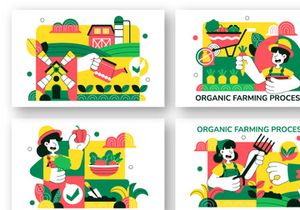 10 Organic Farming Process Illustration