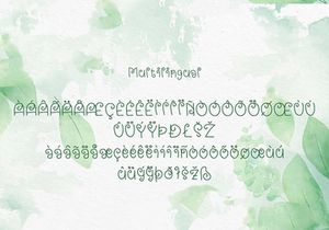 Abighail - Nature Script Font