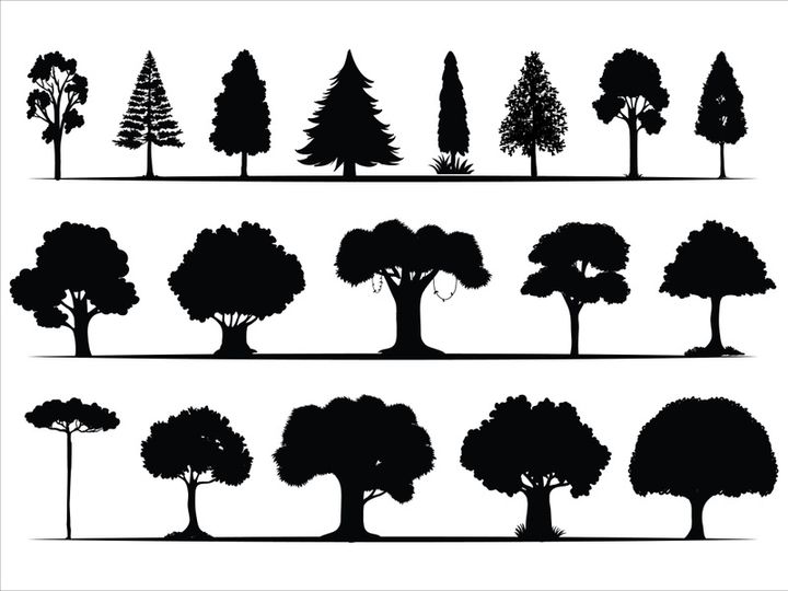Trees Silhouettes Collection