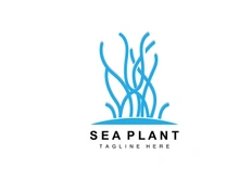 Seaweed Logo, Sea Plants Vector Design, Grocery And Nature Protection
