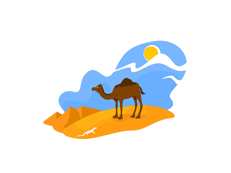 African desert 2D vector web banner, poster