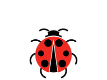 ladybird animal  vector logo symbol icon