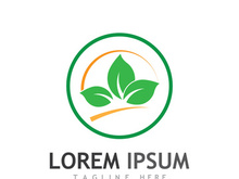 Natural green leaf logo design.