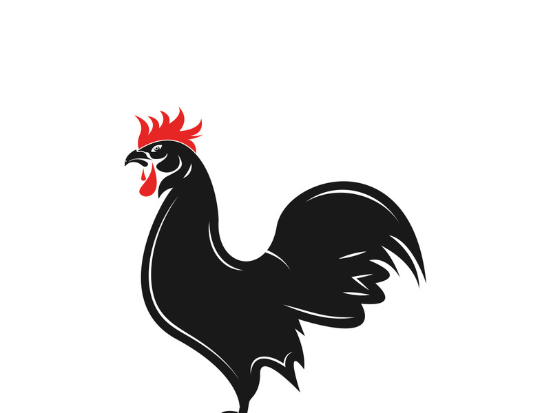 Rooster logo icon vector and symbol template design illustration