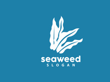 Seaweed Logo, Underwater Plant Vector