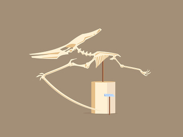 Pterodactyl showcase cartoon vector illustration preview picture