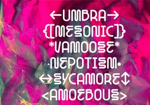 Gawker 2.0 – Display Typeface