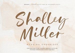 Bridget - Modern Script Font