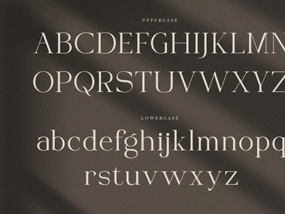 VIBERATE || ligature typeface