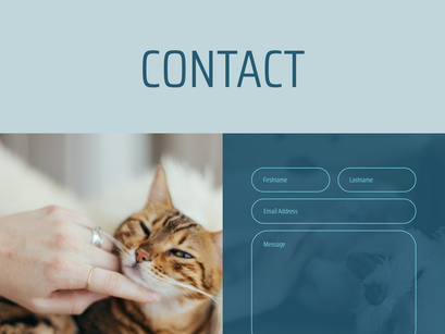 T-THEME - Pet Care Website Template