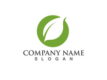 Green leaf logo Vector