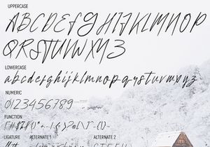 Hollywise - Signature Script Font