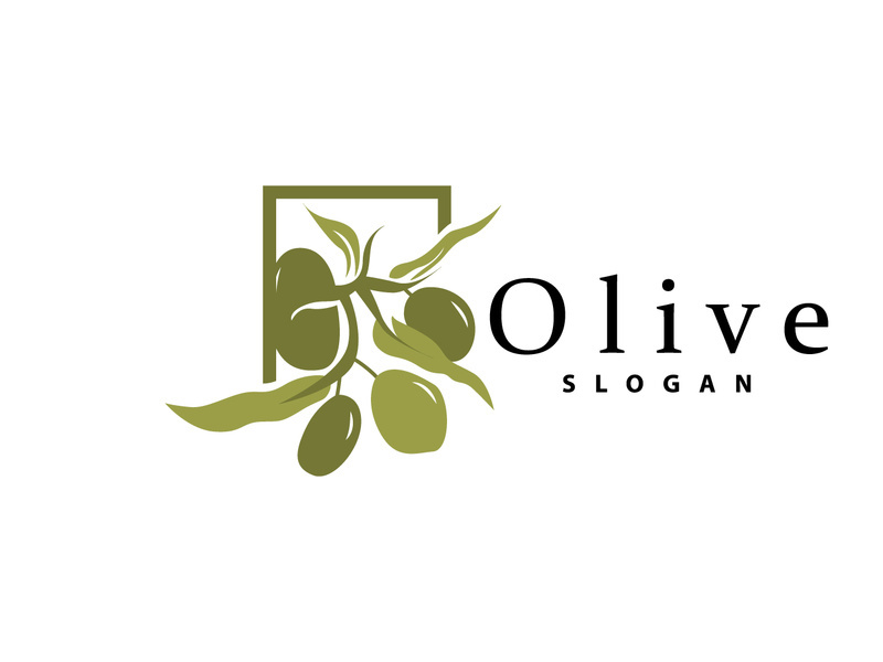 Olive Oil Logo, Olive Leaf Plant Herbal Garden Vector