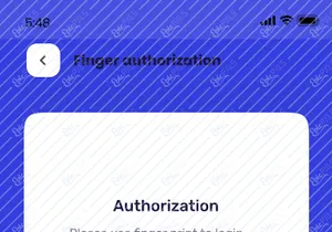 Payou Digital-Wallet-App-UI-Kit