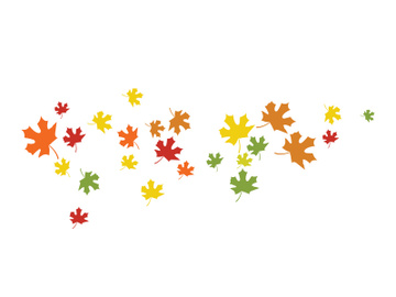 Maple Leaf design illustration preview picture