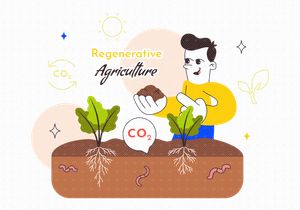 10 Regenerative Agriculture Illustration