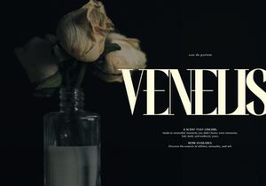 Wonder Astrella | Modern Display Serif
