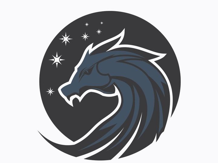 Dragon logo art illustration
