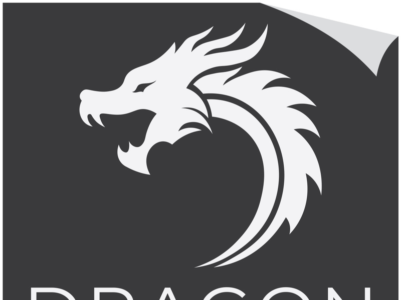 Dragon logo art illustration