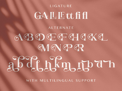 Adibafih - Casual Serif Font