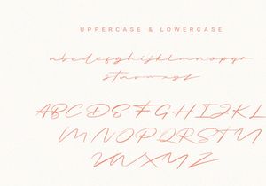 Briquete | Natural Brush Font