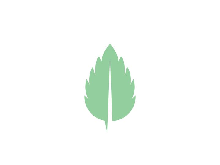Mint Leaf icon template illustration