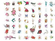 Vector Flower Watercolor Illustration