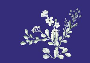 Vector Flower Watercolor Illustration