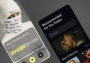 Dtuber v1.0 - YouTube and Spotify-style Flutter app