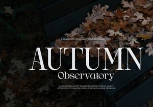 Drogel | Display Serif Font