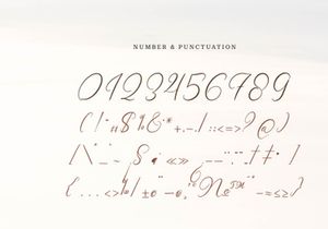 Wenstormy | Calligraphy Script