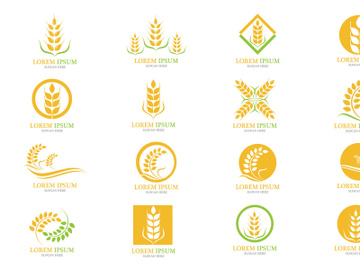 Wheat rice food logo vector preview picture